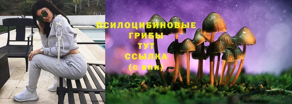 прущие крисы Медногорск