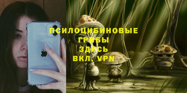 СК Мегион